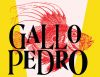 logo Gallo Pedro