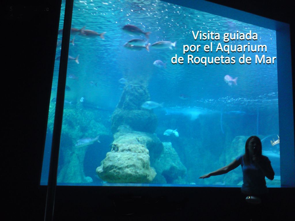 Visita guiada al Aquarium  y Castillo de Santa Ana de Roquetas de Mar