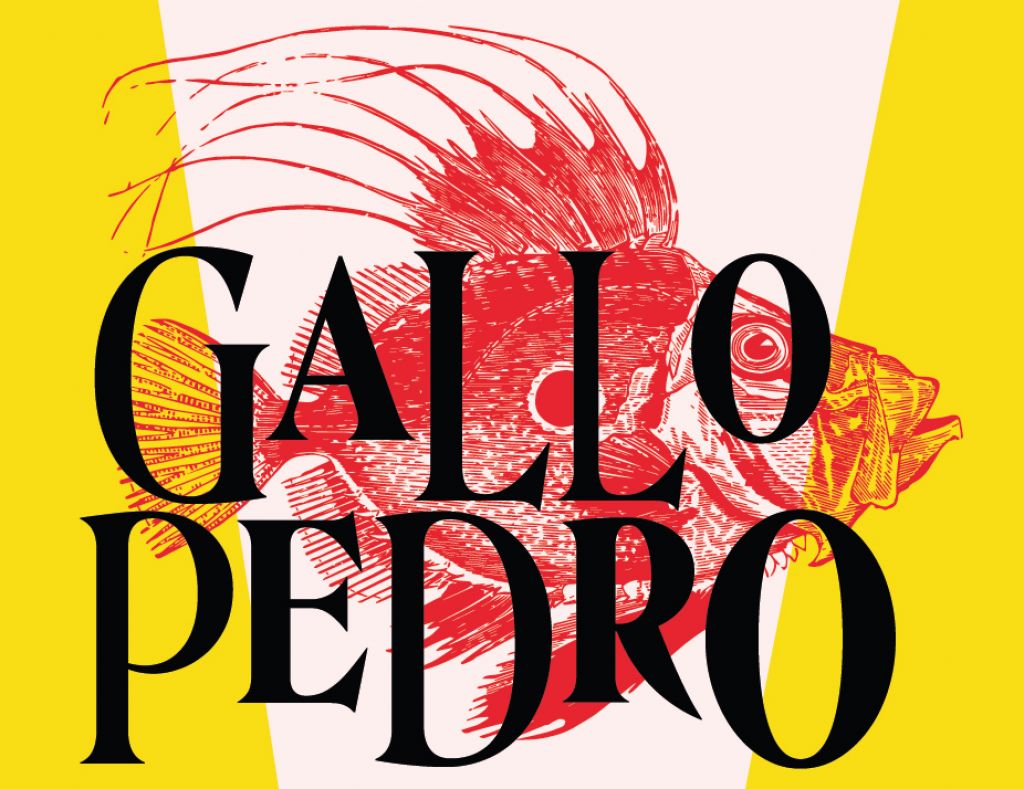Programación del VIII Concurso de Cortometrajes Inclusivos ‘Gallo Pedro’
