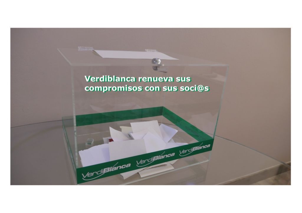 Campaña y programas electorales para la Presidencia de Verdiblanca